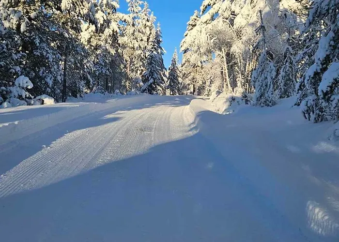 Med Flott Utsikt Ferienhaus Felli